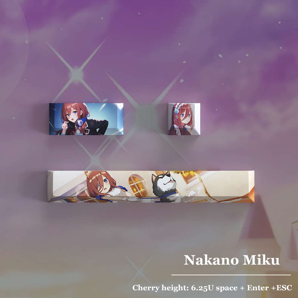 The Quintessential Quintuplets - Quintuplets Anime Cosplay recensie en prijs